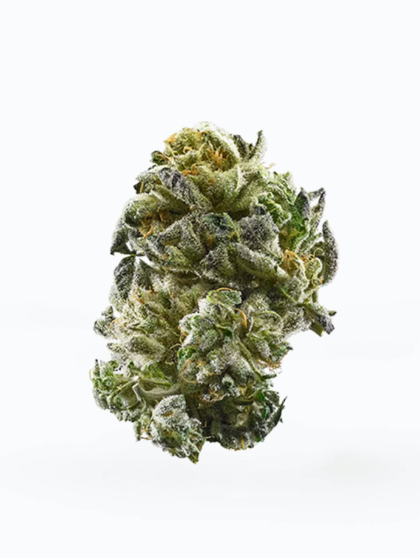 GSC